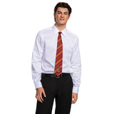 HARRY POTTER TIE