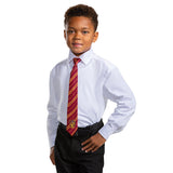HARRY POTTER - TIE