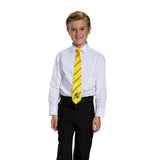 HARRY POTTER - TIE
