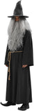 Adult Wizard Costume Set for Men 5 Pcs Gray Sorcerer Outfit with Robe Hat Wig Beard and Waist Rope for Halloween