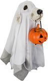 22in Light Up Ghost Dog with Pumpkin Halloween Outdoor Decor