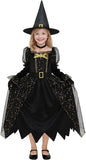 3PCS Witch Costume for Girls, Halloween Dress Costumes | Girls velvet dress up set with pointed hat and choker necklace for toddlers kids outfits