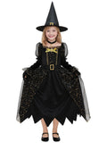 3PCS Witch Costume for Girls, Halloween Dress Costumes | Girls velvet dress up set with pointed hat and choker necklace for toddlers kids outfits