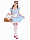 Blue Gingham Country Girl Halloween Costumes for Women, 2 PCS Checkered Apron Dress with Thigh High Bow Socks
