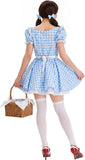 Blue Gingham Country Girl Halloween Costumes for Women, 2 PCS Checkered Apron Dress with Thigh High Bow Socks