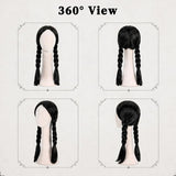 Black Braided Wig with Twin Tail for Women