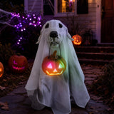 22in Light Up Ghost Dog with Pumpkin Halloween Outdoor Decor