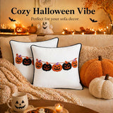 Halloween Pillow Covers 18x18 Set of 2, Pumpkin Garland Cases