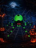 8FT Halloween Inflatable Spider Outdoor Yard Decor with LED