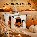 Halloween Pillow Covers 18x18 Set of 2, Cat Pumpkin Cases