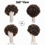 Brown Curly Afro Wig for Women 70s 80s Halloween Cosplay