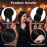 Black Braided Wig with Twin Tail for Women