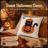 Halloween Pillow Covers 18x18 Set of 2, Cat Pumpkin Cases