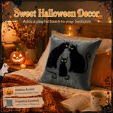 Halloween Pillow Covers 18x18 Set of 2, Gray Black Cat Cases