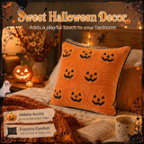 Halloween Pillow Covers 18x18 Set of 2, Orange Pumpkin Cases