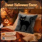 Halloween Pillow Covers 18x18 Set of 2, Black Cat Cases