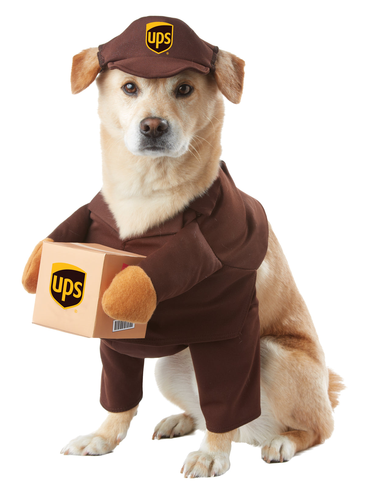 UPS PAL  / PET